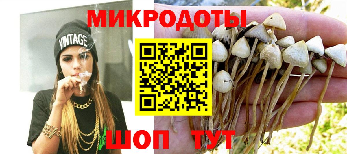 Галлюциногенные грибы Psilocybine cubensis  Вход с VPN  Будённовск 