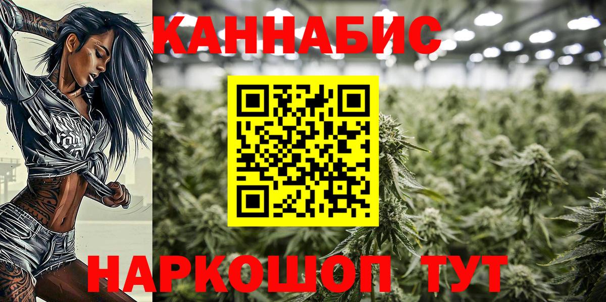 Бошки Шишки White Widow  Вход с VPN  Бошки марихуана ГИДРОПОН  Будённовск  Каннабис индика 